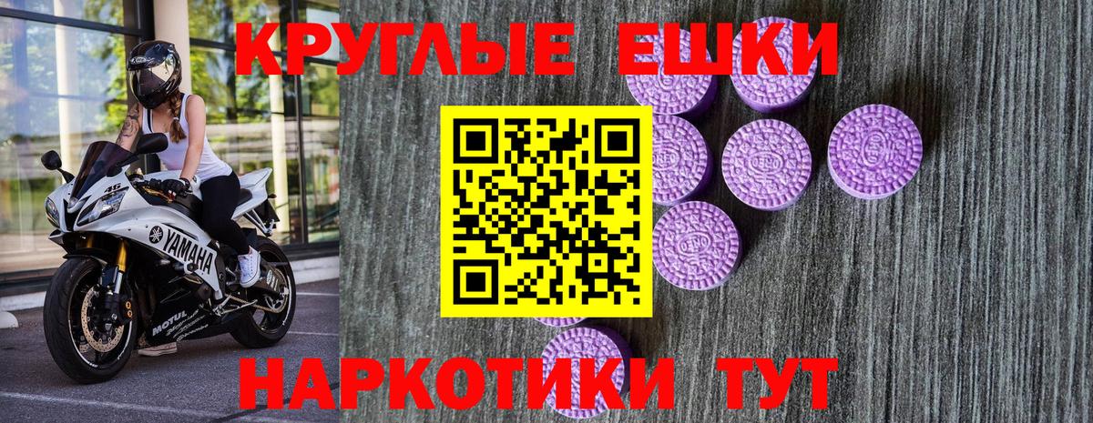 где можно купить наркотик  Вход с VPN  Ecstasy Punisher  Курчалой  Экстази ешки 