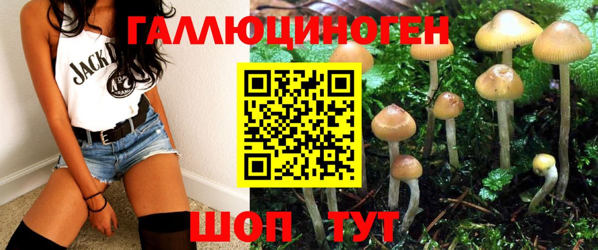 Псилоцибиновые грибы мицелий Курчалой