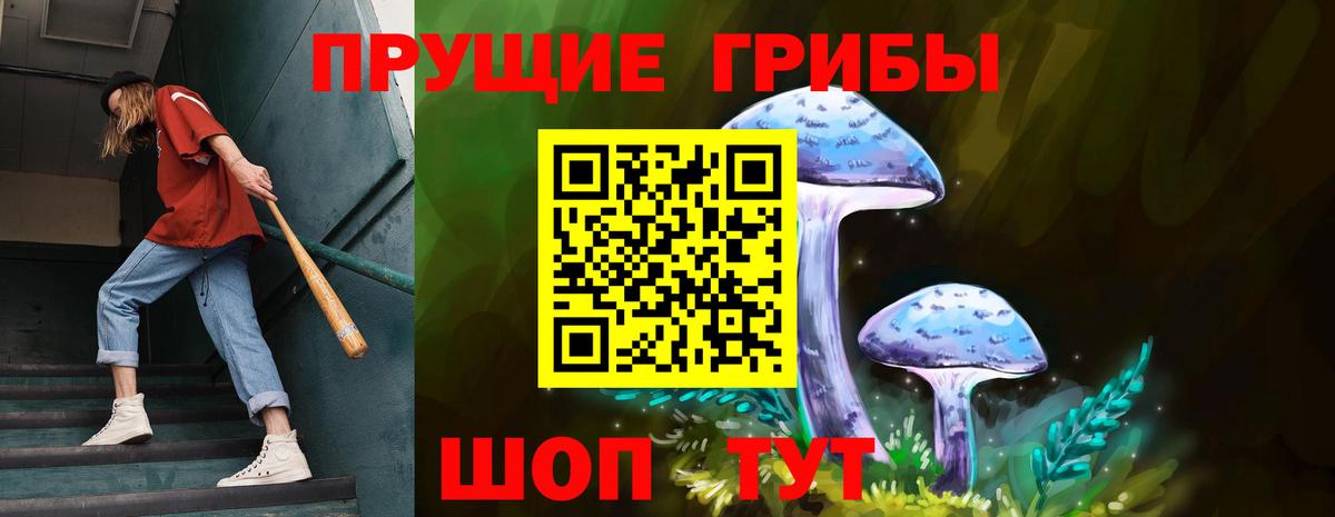 Курчалой  Псилоцибиновые грибы мухоморы  Вход с VPN 
